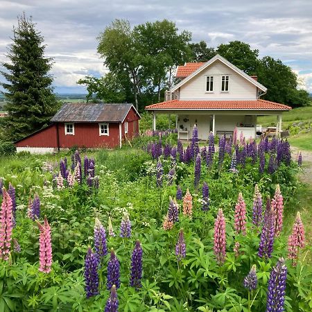 Ny Flintarp Villa Laholm Bagian luar foto