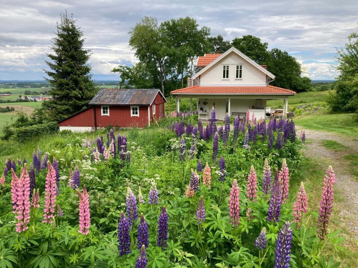 Ny Flintarp Villa Laholm Bagian luar foto