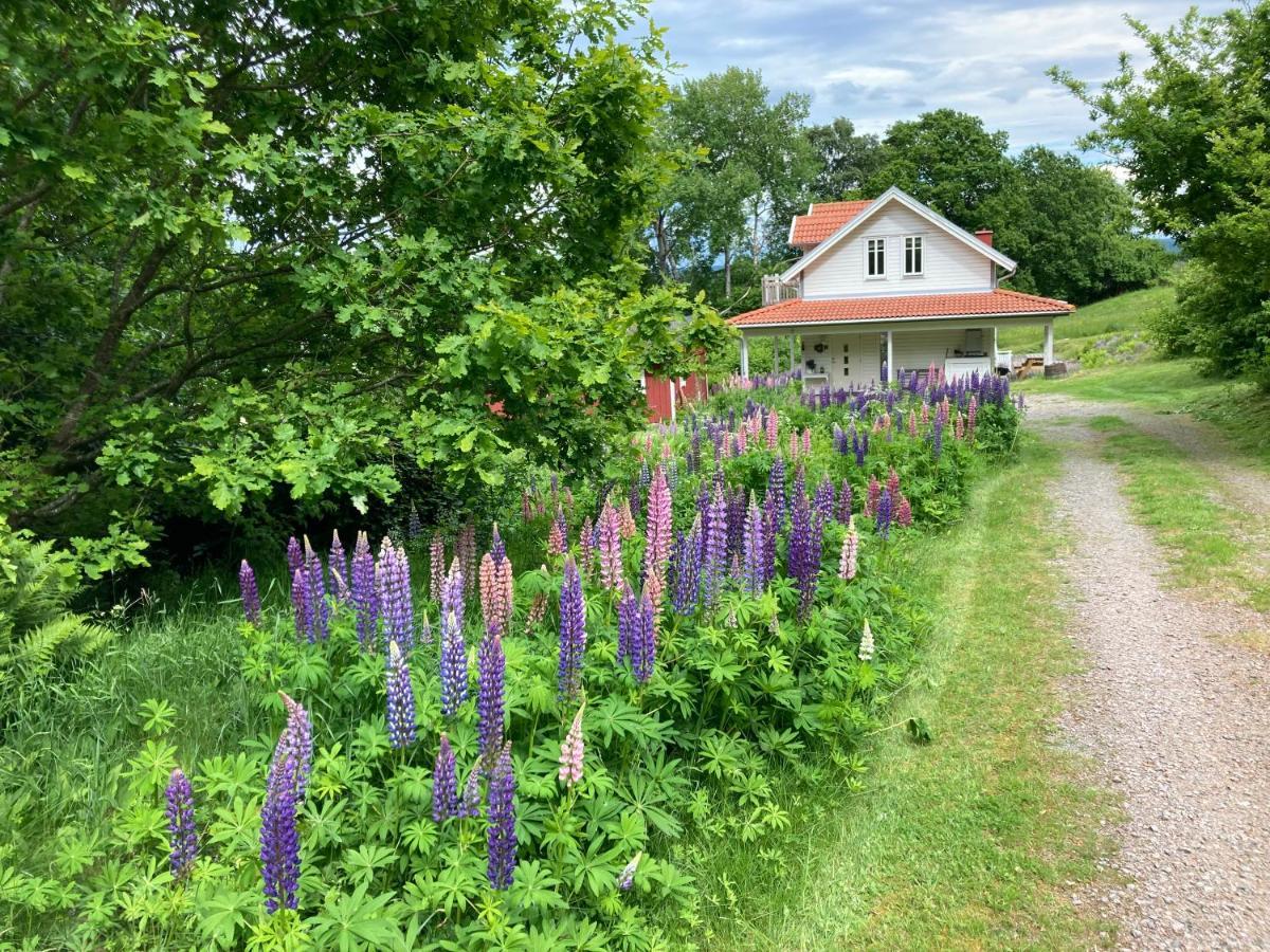 Ny Flintarp Villa Laholm Bagian luar foto